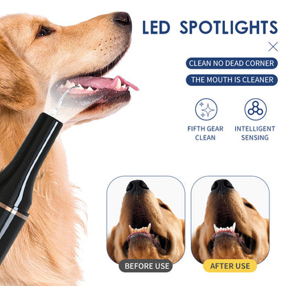 Pet Teeth Cleaning  Device