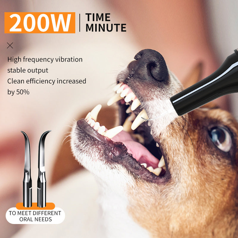 Pet Teeth Cleaning  Device