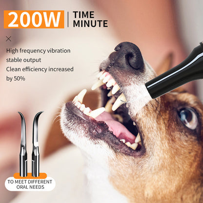 Pet Teeth Cleaning  Device