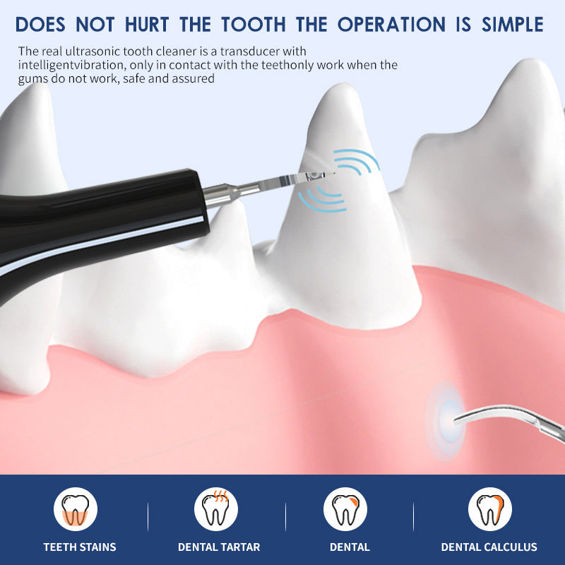 Pet Teeth Cleaning  Device