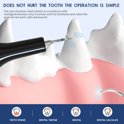 Pet Teeth Cleaning  Device